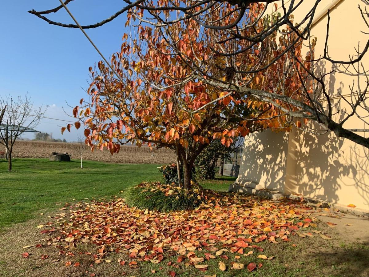 Agriturismo Cascina Mariale Albiano dʼIvrea Eksteriør bilde