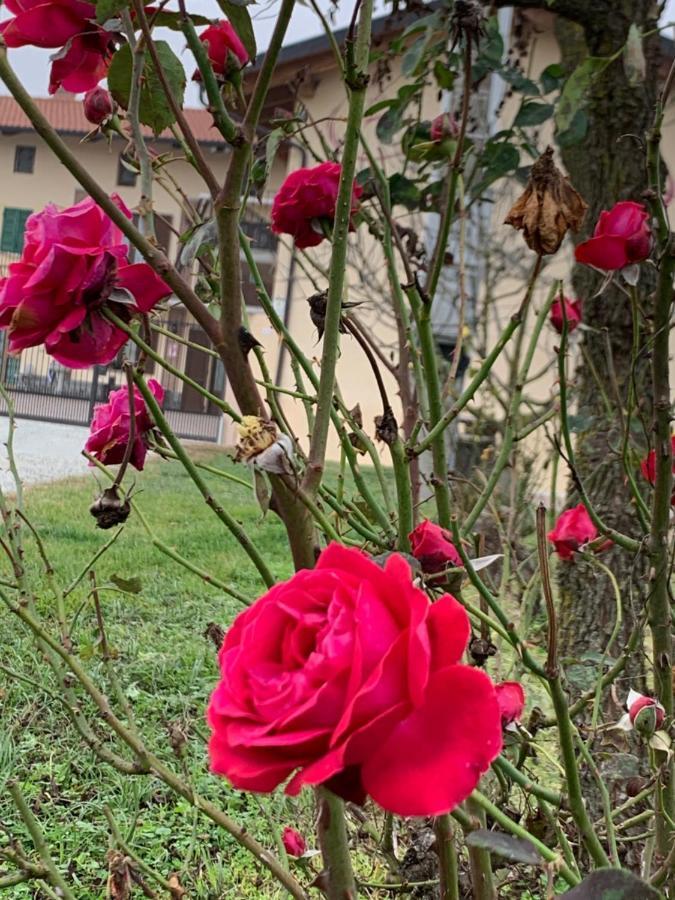 Agriturismo Cascina Mariale Villa Albiano dʼIvrea Eksteriør bilde